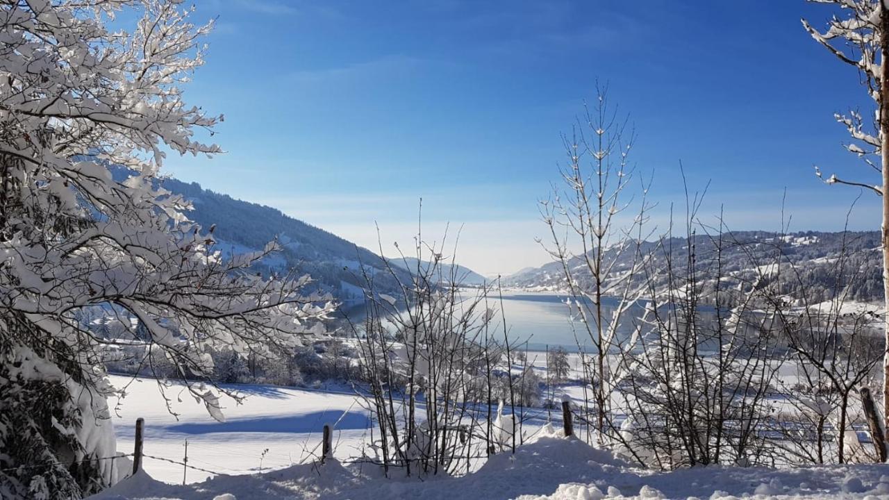 Ferienwohnung Fanny Am See Immenstadt im Allgäu Εξωτερικό φωτογραφία